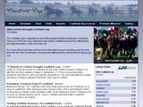 http://www.caulfieldcup.com.au